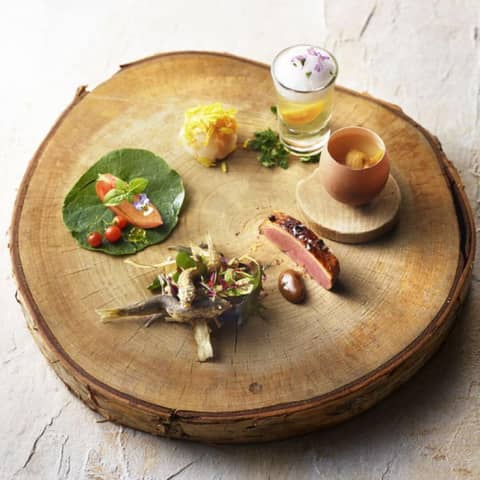 【2026年6月】ベストシーズンガーデンWD堪能！プラン