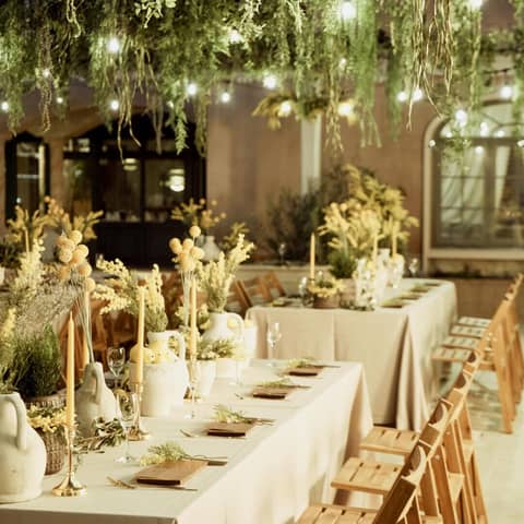 【26年12月～27年2月】70名324万☆ときめきウィンタープラン