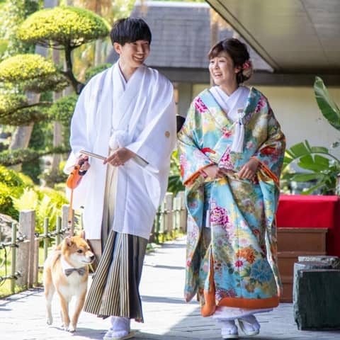 【50名247万◆ペット婚】70万円ご優待あり◆ペット婚プラン