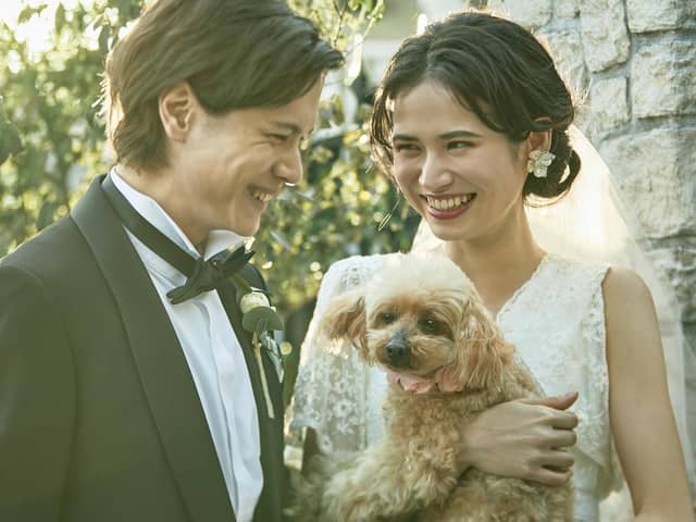 ザ・ジョージアンテラス