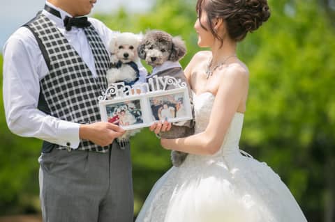 【公式】アルカーサルアヴィオ | 福岡 結婚式場