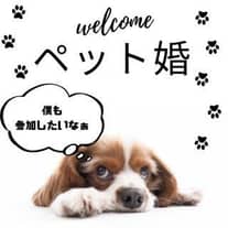 【ペット婚希望の方】大切なペットと誓うチャペル式orガーデン挙式が全額無料!!