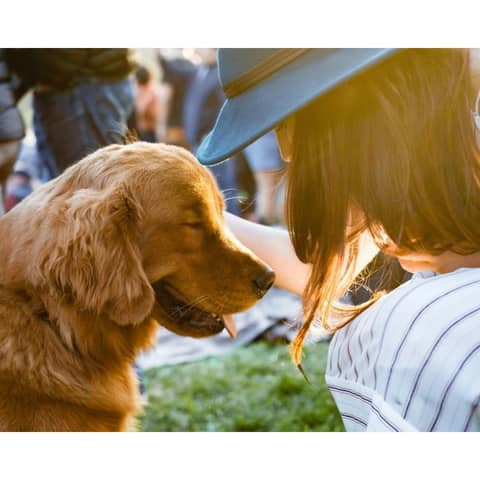 【公式】アルカーサル ビエントス｜宮崎の結婚式場（貸切型ゲストハウス）