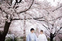 和装も洋装も◎大人気の桜でロケーション撮影プラン