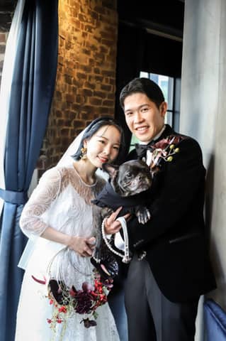 【WITHペット婚】大切な愛犬とずっと一緒に過ごせるプラン