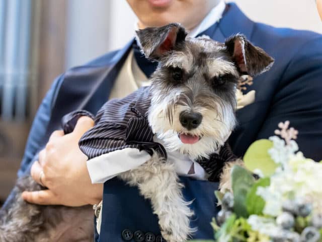 【公式】埼玉グランドホテル深谷 ｜埼玉のホテルで叶う！美食と共に過ごす結婚式
