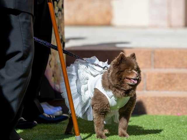 【公式】埼玉グランドホテル深谷 |埼玉のホテルで叶う!美食と共に過ごす結婚式