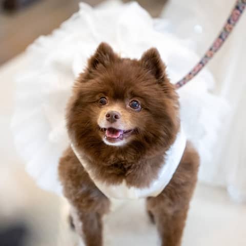 【公式】埼玉グランドホテル深谷 結婚式