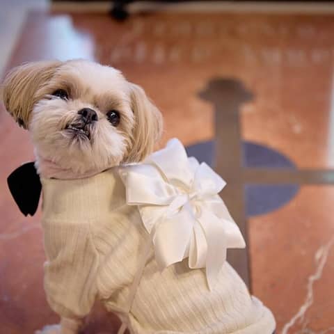 【公式】埼玉グランドホテル深谷 ｜埼玉のホテルで叶う！美食と共に過ごす結婚式