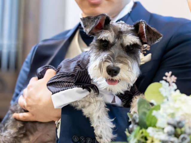 【公式】埼玉グランドホテル深谷 ｜埼玉のホテルで叶う！美食と共に過ごす結婚式