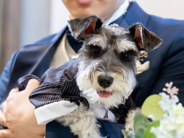 【公式】埼玉グランドホテル深谷 |埼玉のホテルで叶う!美食と共に過ごす結婚式