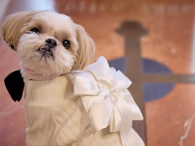 【公式】埼玉グランドホテル深谷 |埼玉のホテルで叶う!美食と共に過ごす結婚式