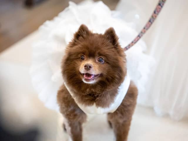 【公式】埼玉グランドホテル深谷 ｜埼玉のホテルで叶う！美食と共に過ごす結婚式