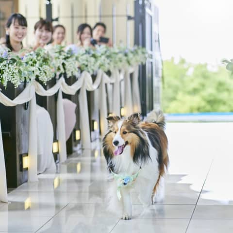 《公式》愛知・一宮市の結婚式場｜マリエール ガーデン バーベナ