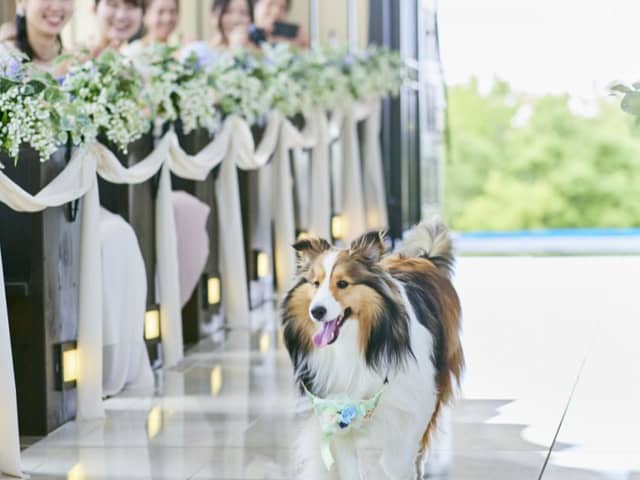 《公式》愛知・一宮市の結婚式場|マリエール ガーデン バーベナ