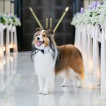 《公式》愛知・一宮市の結婚式場|マリエール ガーデン バーベナ