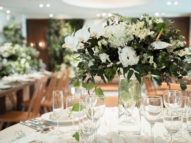 Elegante Vita(エレガンテヴィータ)