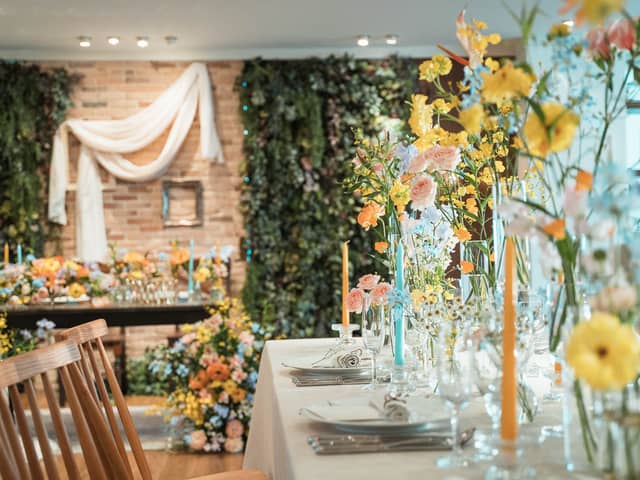 Elegante Vita(エレガンテヴィータ)