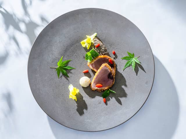 Elegante Vita(エレガンテヴィータ)