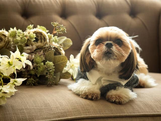 新山口駅前の結婚式場|ウェディングコート エミリア