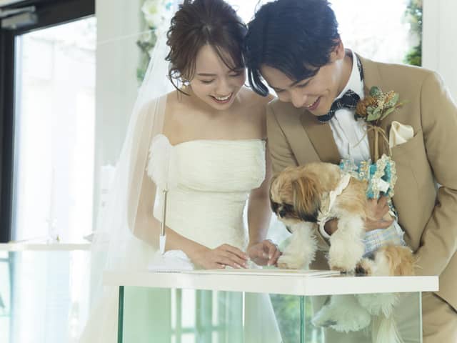 新山口駅前の結婚式場|ウェディングコート エミリア