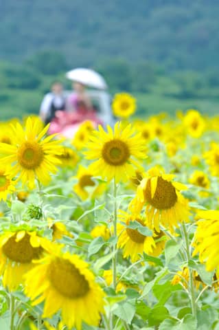 グランシア須賀川