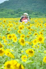【まだ間に合う！7～8月限定】ひまわりフォトウェディング＋挙式無料