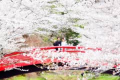 【想いでに写真を残したい方必見】フォトウェディング和装プラン