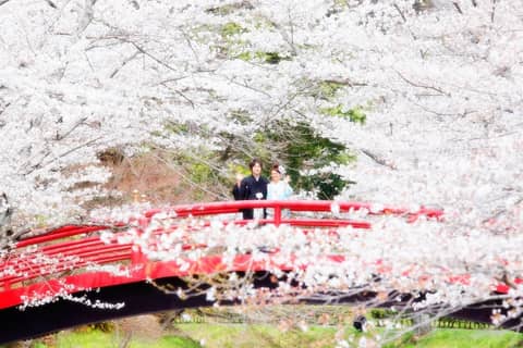 【想いでに写真を残したい方必見】フォトウェディング和装プラン