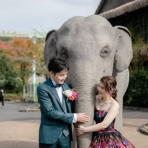 【東山動植物園×ガーデンテラス東山】動物と一緒に撮影ができるフォトW