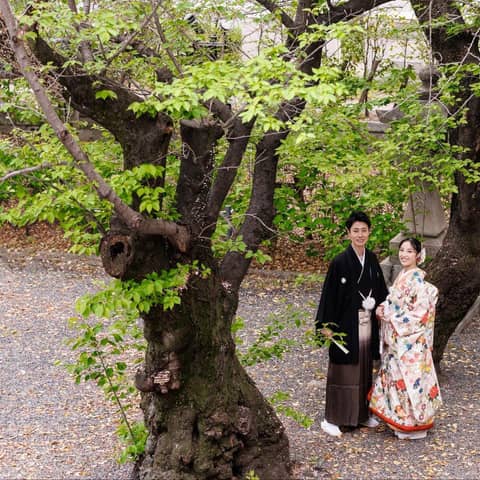 若宮八幡社 若宮の杜 迎賓館