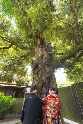 藤右ェ門WEDDING（国登録有形文化財）｜茨城県つくば市の1棟貸切古民家レストラン