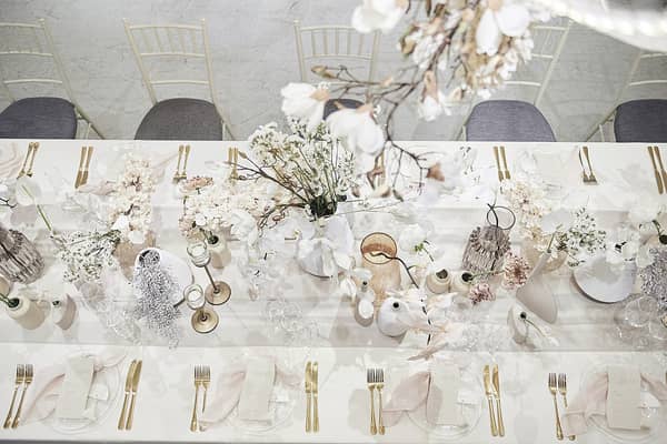 TRUNK BY SHOTO GALLERY