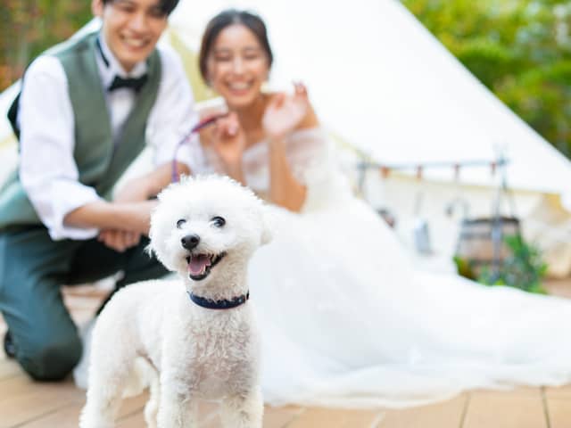 【公式】関西・奈良の結婚式場 アールベルアンジェ奈良