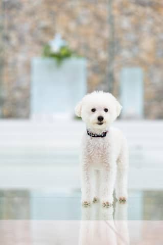 【公式】関西・奈良の結婚式場 アールベルアンジェ奈良