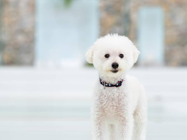 【公式】関西・奈良の結婚式場 アールベルアンジェ奈良