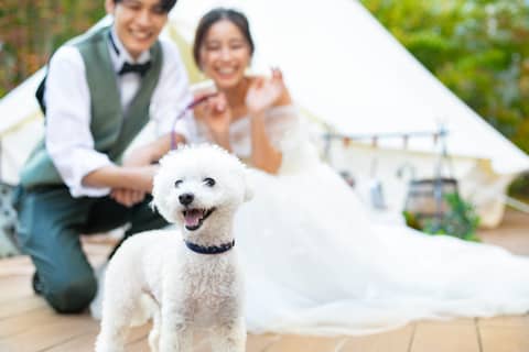 【フォトウェディング】結婚の記念にお写真だけのウェディング*