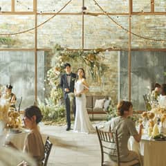 <26年6月まで>限定プラン