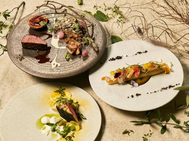 THINGS Aoyama Organic Garden.dth/東京 表参道・南青山の結婚式場