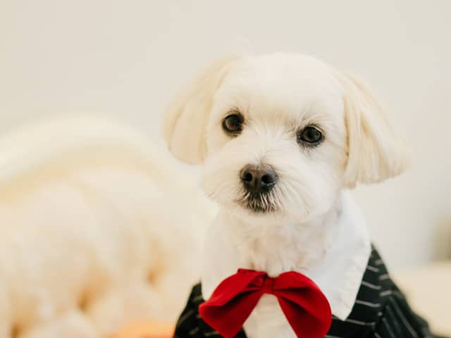 三河湾リゾートリンクス迎賓館