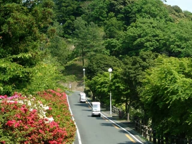 つま恋の結婚式|つま恋リゾート 彩の郷【公式】