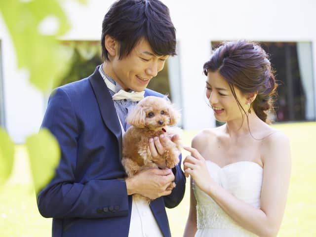 つま恋の結婚式|つま恋リゾート 彩の郷【公式】