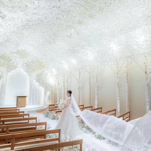 【最大100万円ご優待】2026年6～8月の結婚式！Summerプラン