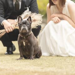 【ペットウエディングプラン】家族全員で結婚式♪