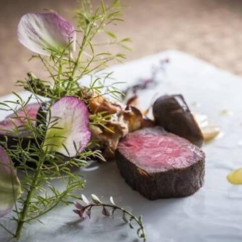 GLLARE MARUYAMA（グラーレ マルヤマ）｜札幌 円山 結婚式場