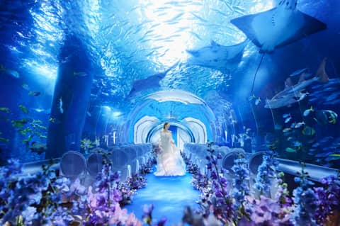 【公式】TABLE 9 TOKYO　ウエディング│品川駅徒歩2分の結婚式場