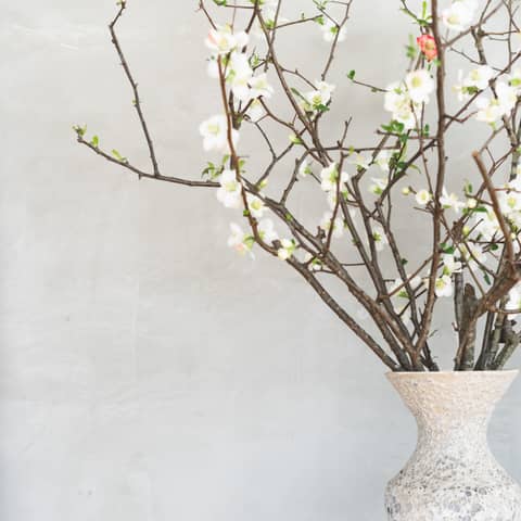 【挙式のみ＊2名】IWAI CEREMONY＜3ヶ月以内の平日＞