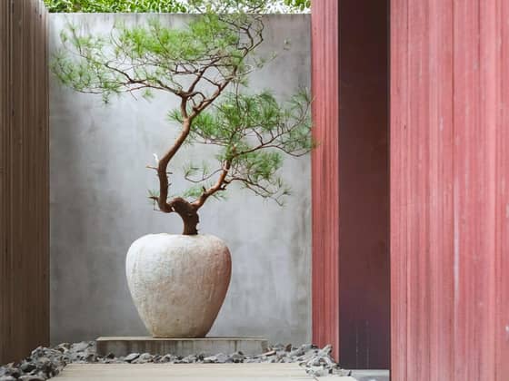 IWAI OMOTESANDO（イワイオモテサンドウ）｜表参道・東京｜結婚式場 ウェディング