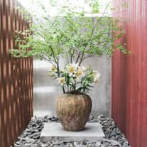 IWAI OMOTESANDO(イワイオモテサンドウ)|表参道・東京