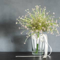 【70名／挙式＋披露宴】IWAI STYLE #70 ＜1年半以内＞